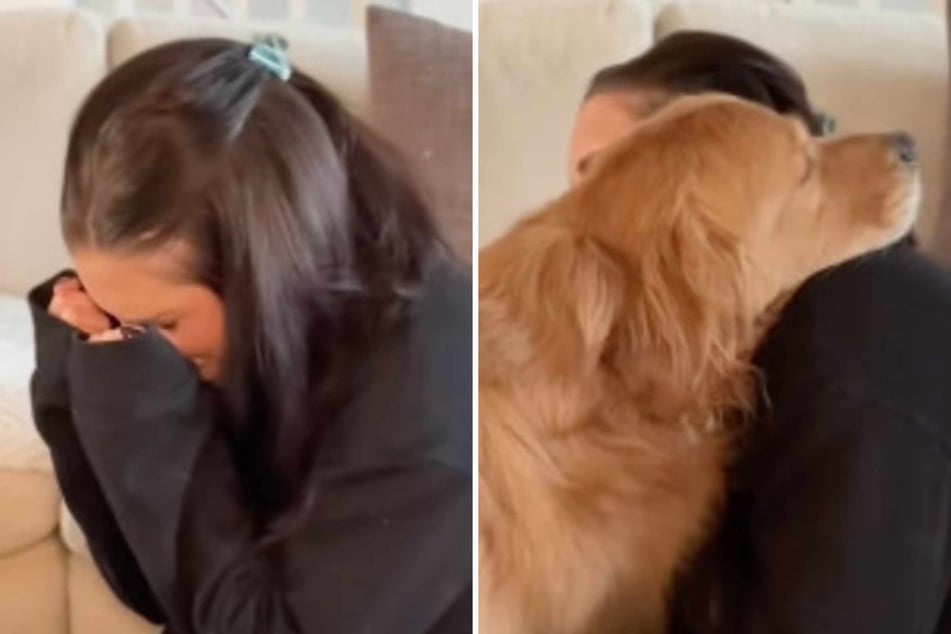 To test her dog, Jules Kuch pretended to cry.