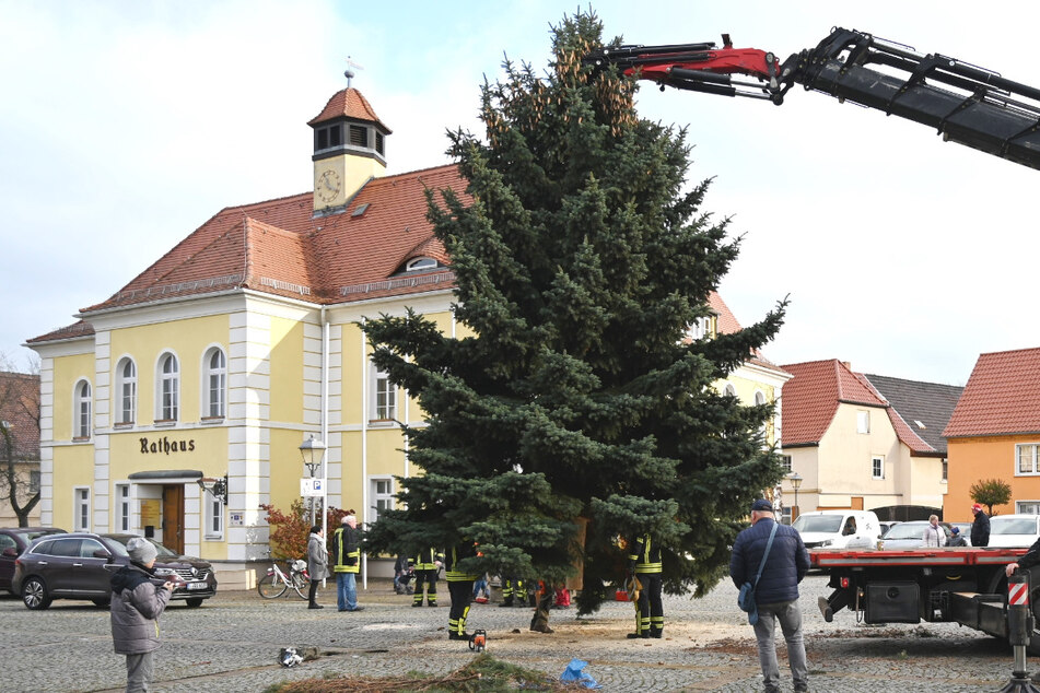 Leipzig: "Es geht um den Lichterglanz": Liebertwolkwitz hat seinen Weihnachtsbaum!
