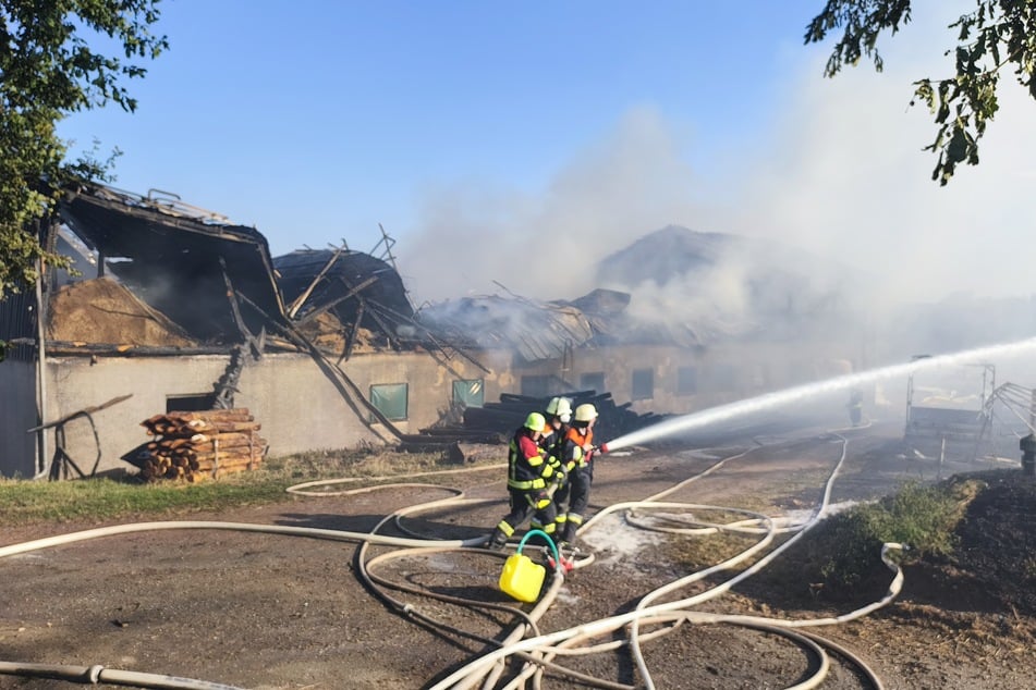 Großbrand auf Bauernhof in Oberpfalz: 15 Rinder tot, Feuerwehrmann in Klinik geflogen
