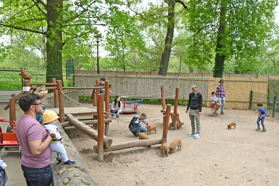 Der Tierpark in Eilenburg ist sehr beliebt - auch viele Leipziger reisen aus der Nachbarstadt an.
