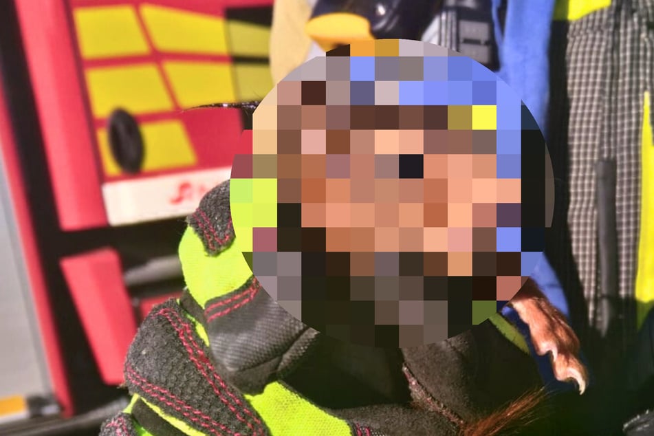 Bewohner hören komische Geräusche: Feuerwehr befreit zwei süße Wildtiere aus Dunstabzugshaube