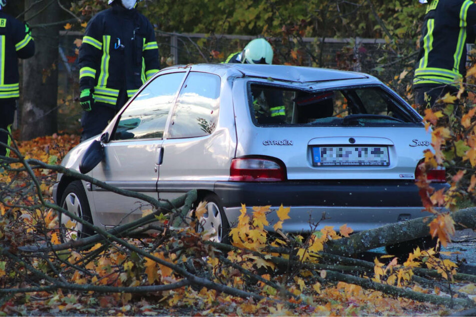 In der Feldstraße in Ahrensfelde ist ein großer Baum auf die Straße gestürzt und hat dabei einen Citroën stark beschädigt.