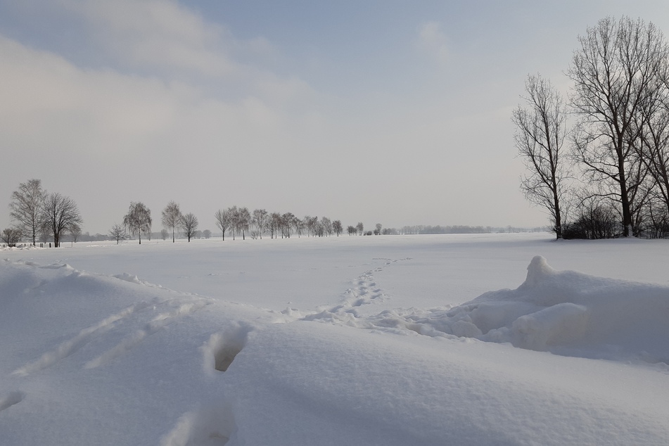 Ähnlich viel Schnee wie dieser Tage war auch im Jahr 1950 gefallen.