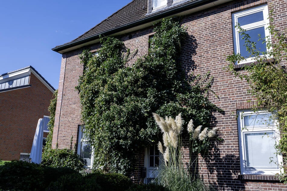 In diesem Mehrfamilienhaus fand die Polizei die Leiche des 62-Jährigen.