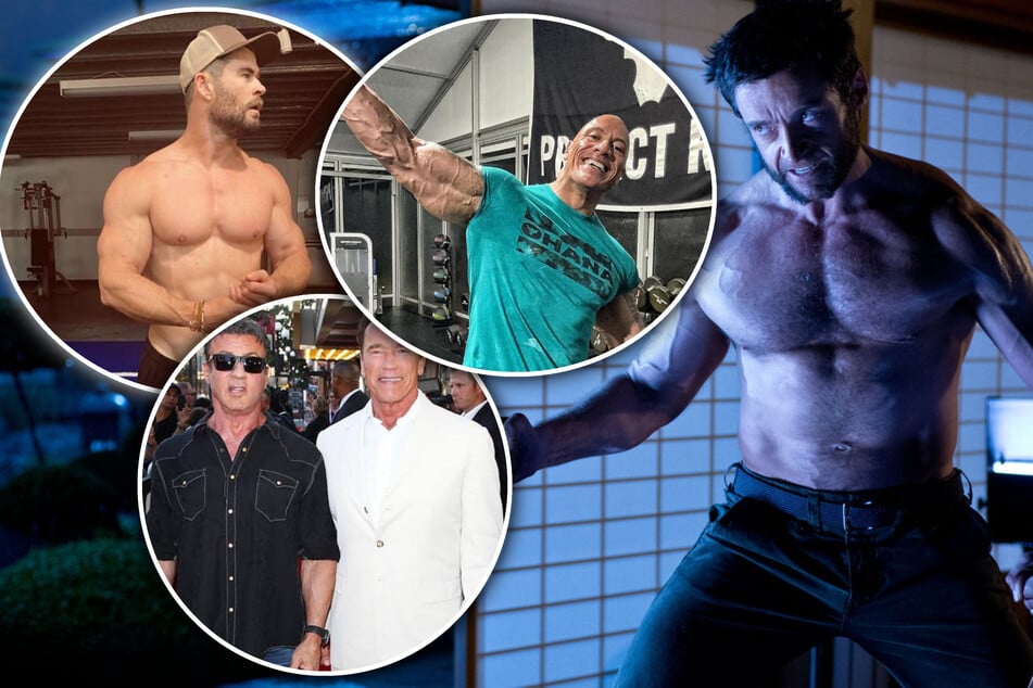 Nehmen sie etwas Steroide? Chris Hemsworth (39, l.), Dwayne Johnson (50), Hugh Jackman (54, r.), Sylvester Stallone (76, u. l.) und Co.