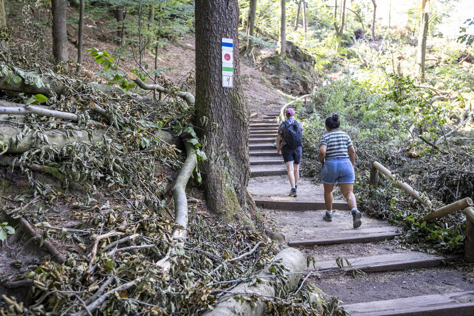 Dieser Aufgang kostete einen Menschen das Leben. Der Aufstieg zur Bastei ist wieder frei.