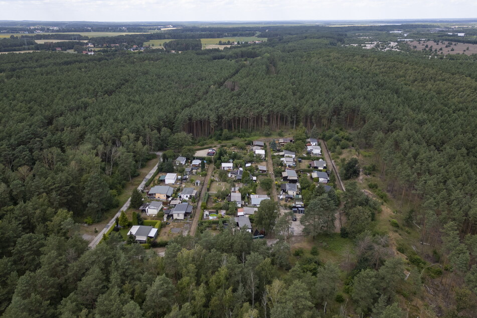 Rund 12.500 Quadratmeter Kleingartenfläche sind befallen. Kurios: Schon wenige Meter außerhalb des Gartenareals ist keine einzige Heuschrecke zu finden.