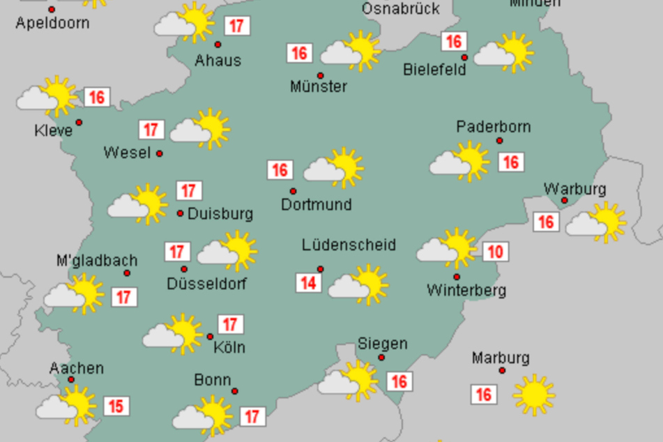 Die Temperaturen klettern in NRW zur Wochenmitte auf bis zu 17 Grad.