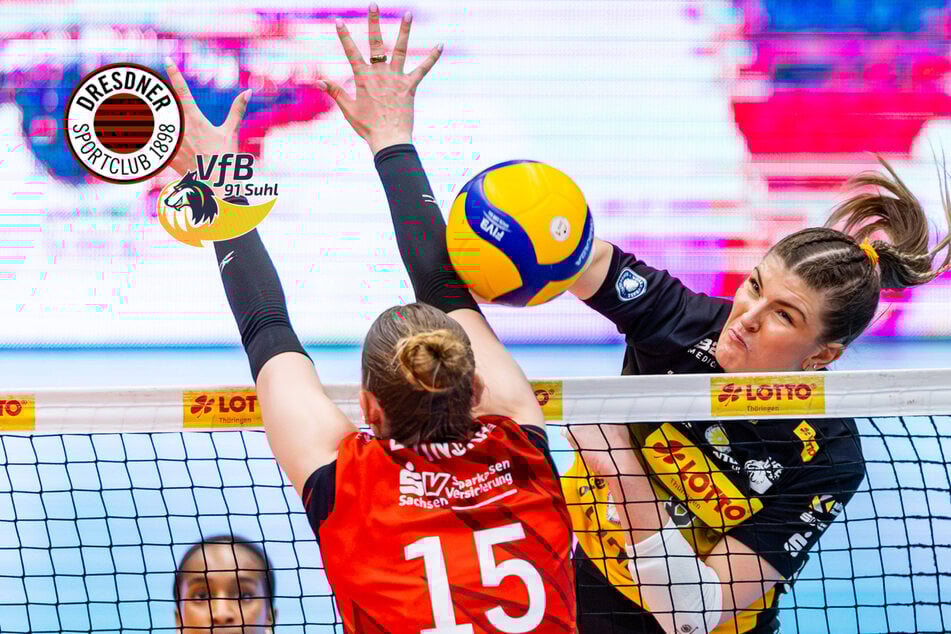 Nächster DSC-Coup in der Pipeline: Diese Suhlerin wechselt wohl nach Dresden