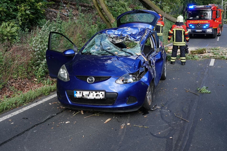 Ein Mazda ist kurz vor dem Ortseingang von Tharandt mit einem herabgestürzten Baum kollidiert.