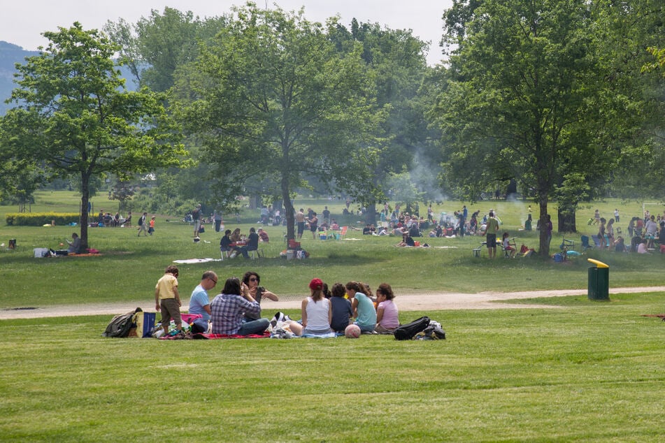 In Magdeburg gibt es insgesamt acht öffentliche Grillplätze. (Symbolbild)