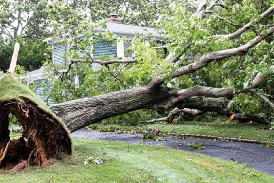 A tornado hit the Michigan city of Livonia Wednesday, causing havoc and killing a two-year-old after an uprooted tree fell on a house.