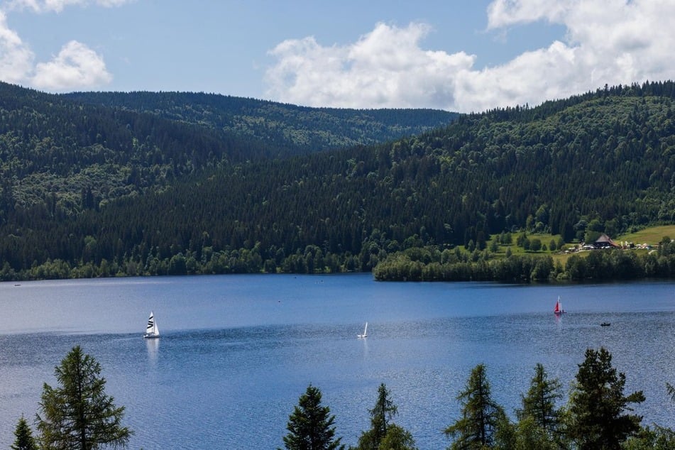 In der Region Schwarzwald lässt es sich gut urlauben und auch von der Hitze abkühlen.