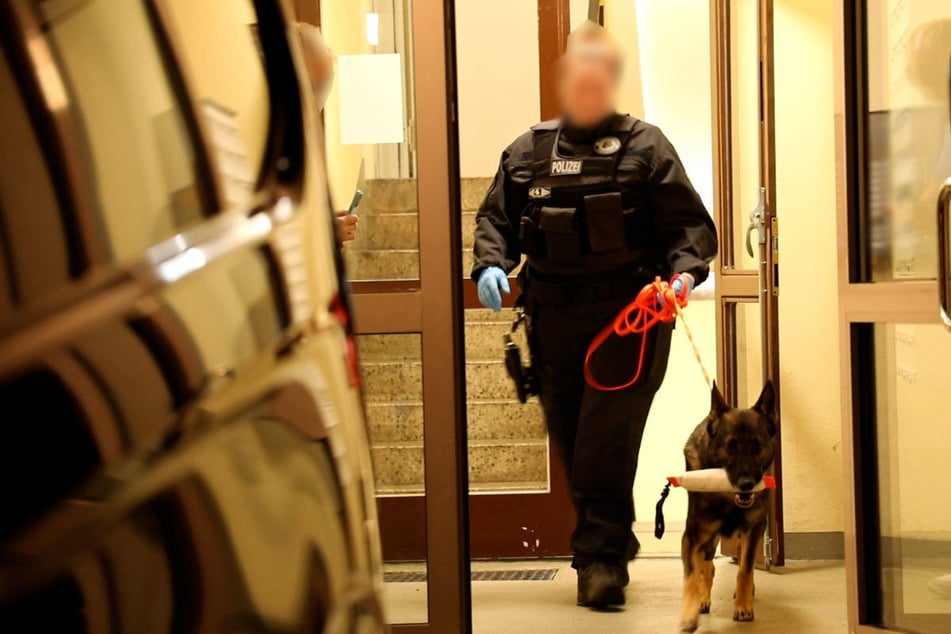 Auch Spürhunde waren im Einsatz.