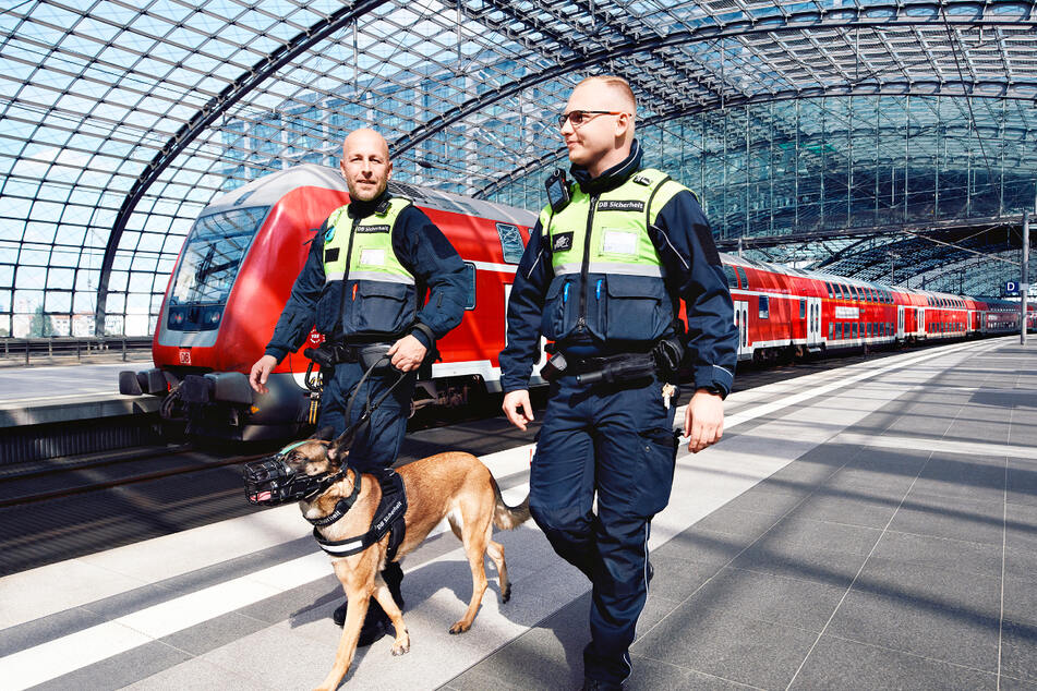 Als Hundeführer (m/w/d) für eine sichere Fahrt sorgen.