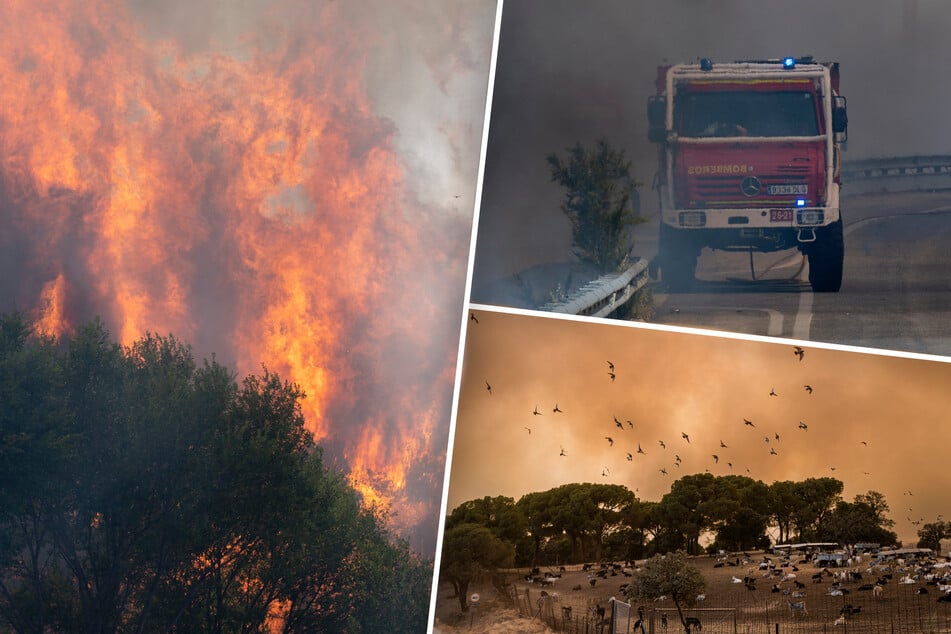 "Das Feuer wird erst ausgehen, wenn das Feuer es will": Spanische Brandbekämpfer vor Ohnmacht