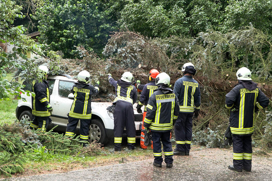 In Lichtenberg/Erzgebirge brachte das Unwetter am Montagnachmittag einen Baum zu Fall, der auf ein Auto stürzte. Die Feuerwehr musste anrücken.