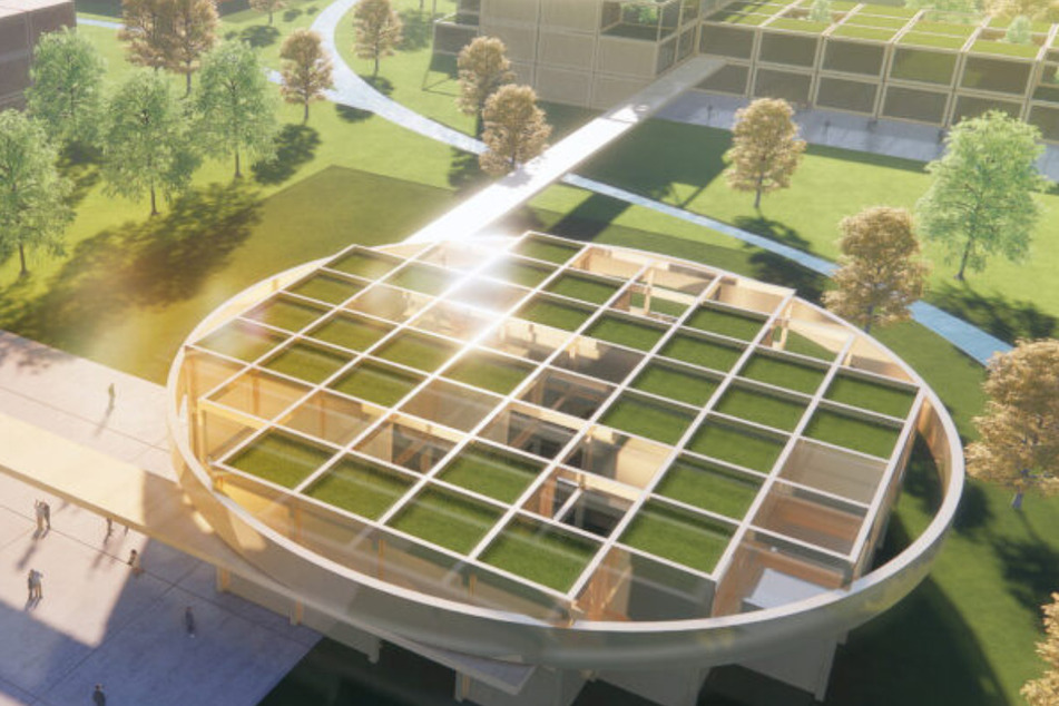 Modern und grün: So könnte das Forschungs-Zentrum "LAB - Lausitz Art of Building" aussehen.