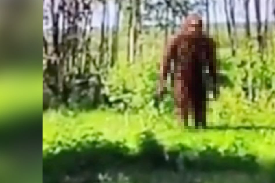 "Google Earth"-Nutzer macht kuriose Entdeckung: Gibt es Bigfoot wirklich?
