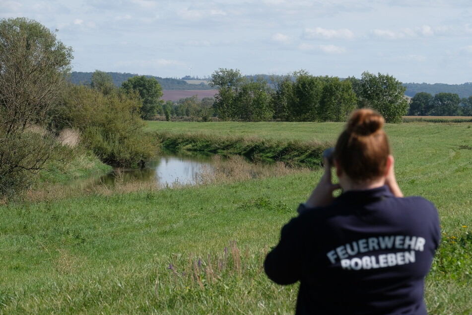 Ein Experte soll vor Ort ausmachen, ob es das Unstrut-Krokodil wirklich gibt. Die Suche der Feuerwehr blieb bisher ohne Ergebnis.