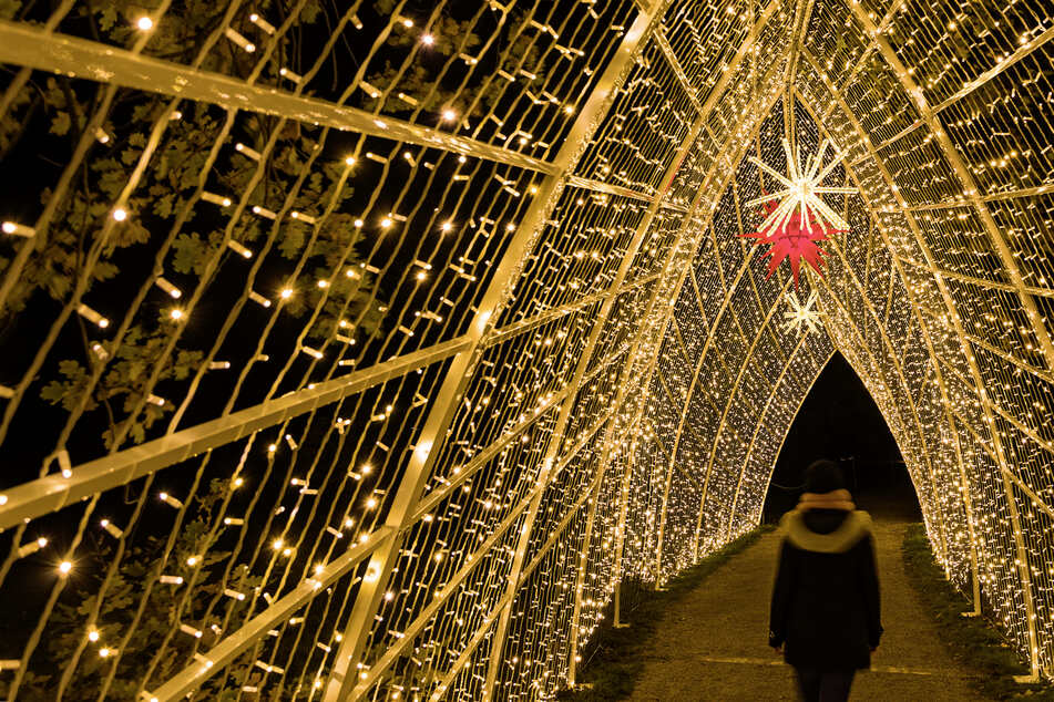 Dresden: "Christmas Garden" in Pillnitz: Diese Corona-Regeln erwarten Euch!