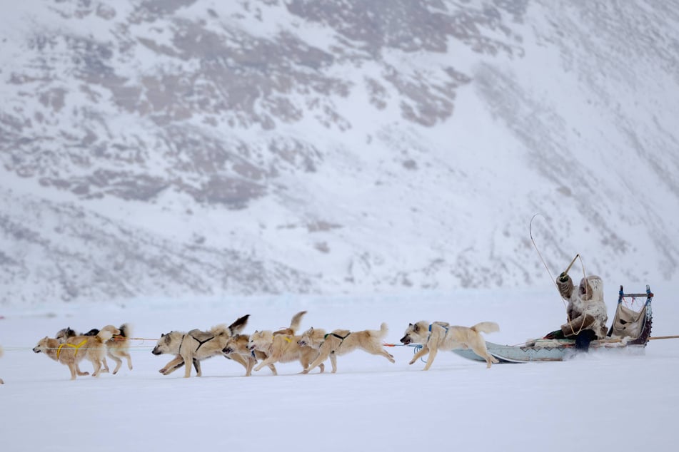 Greenland's dog sled federation announced that an invitation to US special envoy Jeff Landry to attend the annual race had been withdrawn.