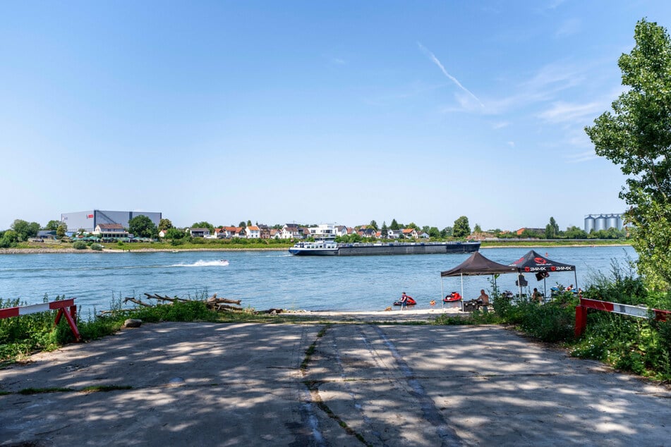 Die Nato-Rampe bei Biblis ist eine beliebte Einstiegsstelle zum Baden im Rhein.