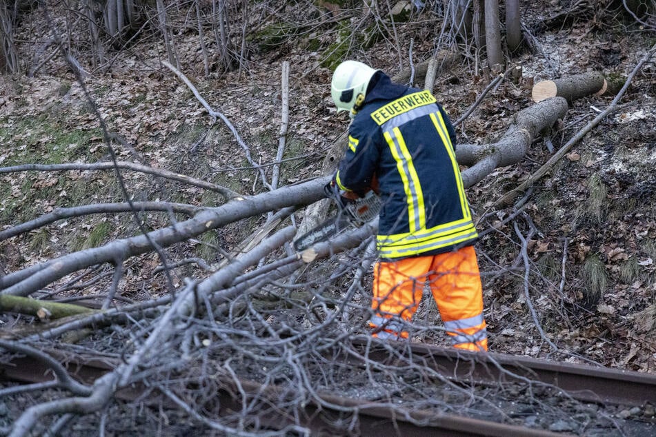 In Sehmatal-Sehma drohte ein Baum auf die Gleise der Erzgebirgsbahn zu stürzen. Die Strecke wurde gesperrt und die Feuerwehr fällte den Baum.