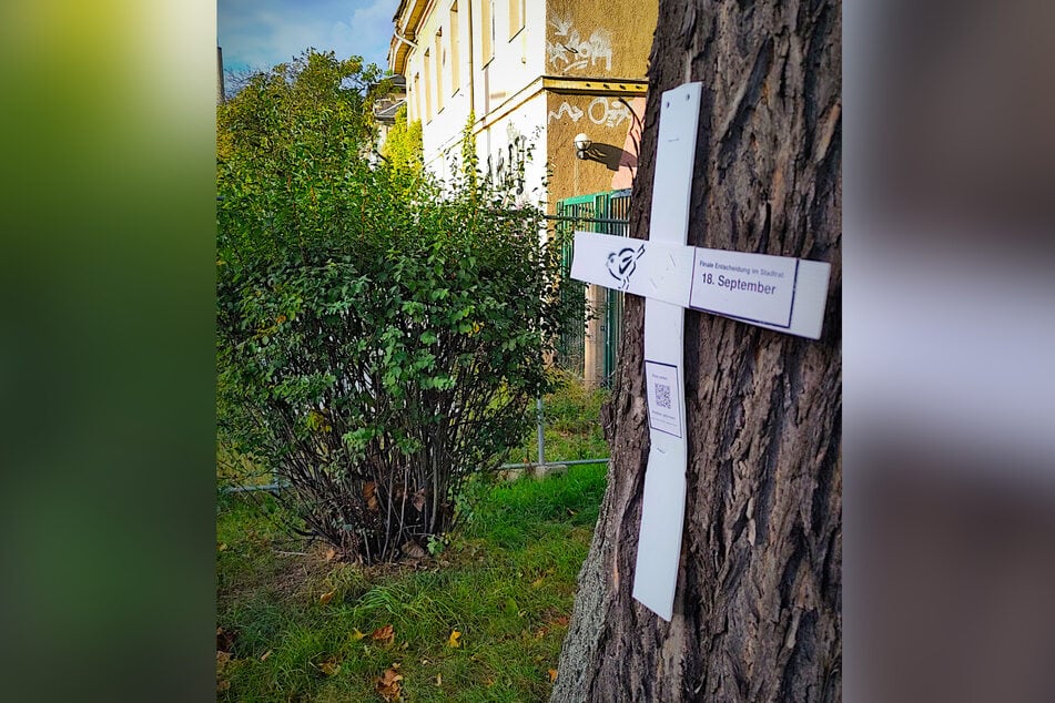 Mit dieser Protest-Aktion gegen Baumfällungen sprechen sich Aktivisten für eine Sanierung im Bestand aus.