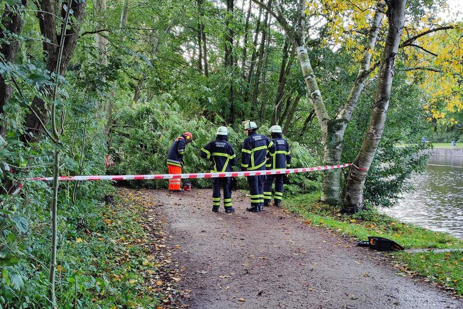 In Alsterdorf musste die Feuerwehr nach dem Sturm einen Fußweg sperren.