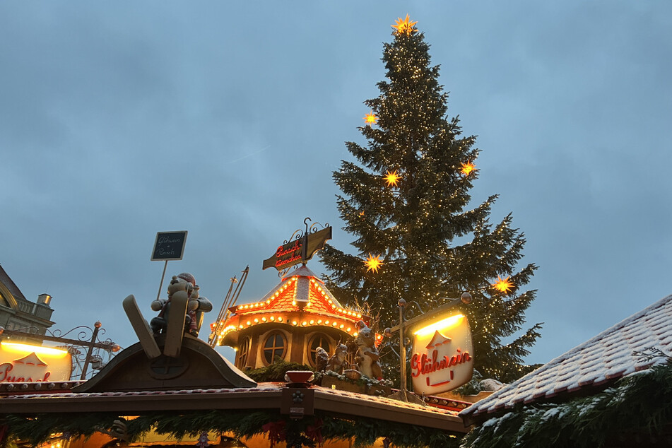 Schön schaut er aus, der diesjährige Weihnachtsbaum auf dem Dresdner Striezelmarkt!