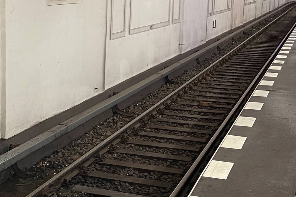 Der Vierbeiner ist am Bahnhof Hermannstraße auf der Suche nach Futter einfach über die Gleise gelaufen. (Symbolfoto)