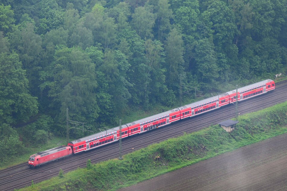 Eine S-Bahn in Richtung Schöna kam am Sonntagnachmittag wegen eines umgestürzten Baumes auf freier Strecke zum Stehen. (Symbolfoto)
