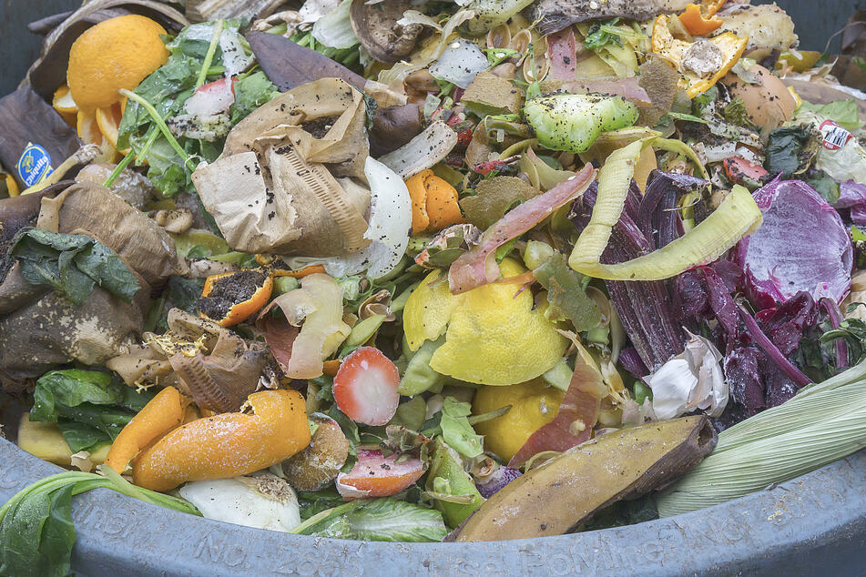Organic waste doesn't belong in a landfill.