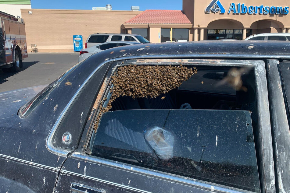 The man's car was overrun by a swarm of 15,000 bees after he left his window down.
