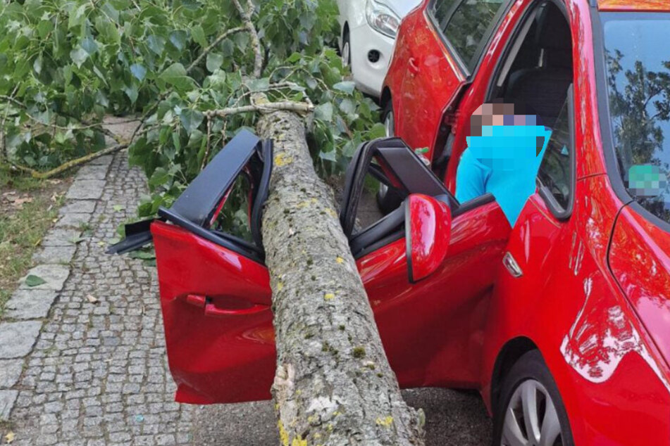 Der abgebrochene Ast landete auf einem Opel, der in Berlin-Neukölln geparkt war und klemmte einen Mann ein.