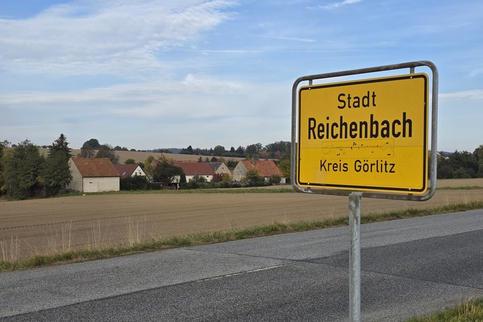Der Bauer aus Reichenbach hatte seine Rinder seit rund drei Wochen auf einer Weide stehen.
