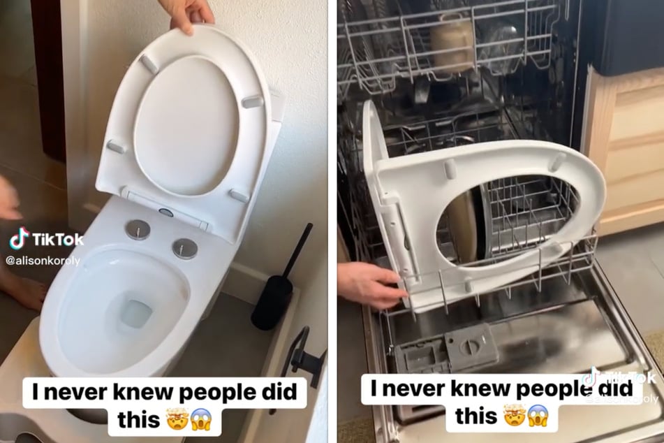 Von dem vermeintlichen Tipp, den Toilettensitz in der Geschirrspülmaschine zu reinigen, waren viele angeekelt.