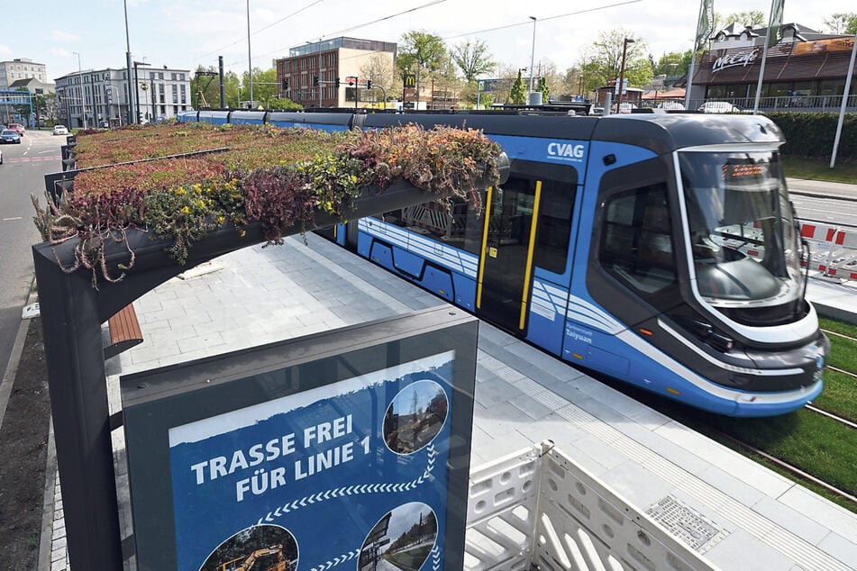 Der neue Fahrgastunterstand an der Haltestelle Reichsstraße hat ein grünes Dach aus Sukkulenten verpasst bekommen.