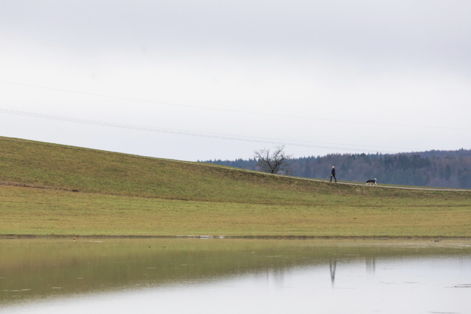 Plötzlich Wasser statt Wiese: Wo kommt der Schwarzwald-See her?