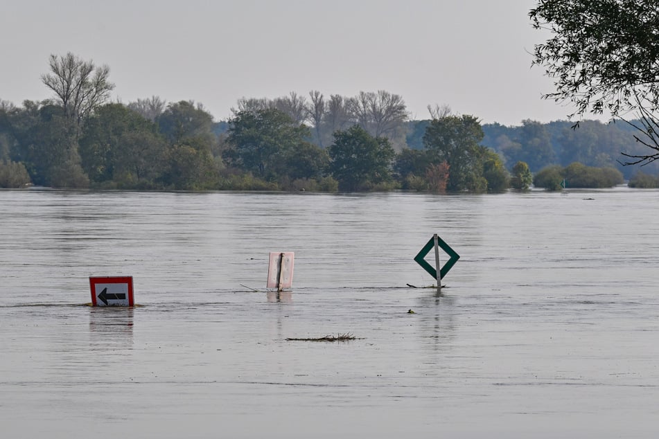 Oder-Hochwasser: Ratzdorf ruft höchste Alarmstufe aus!