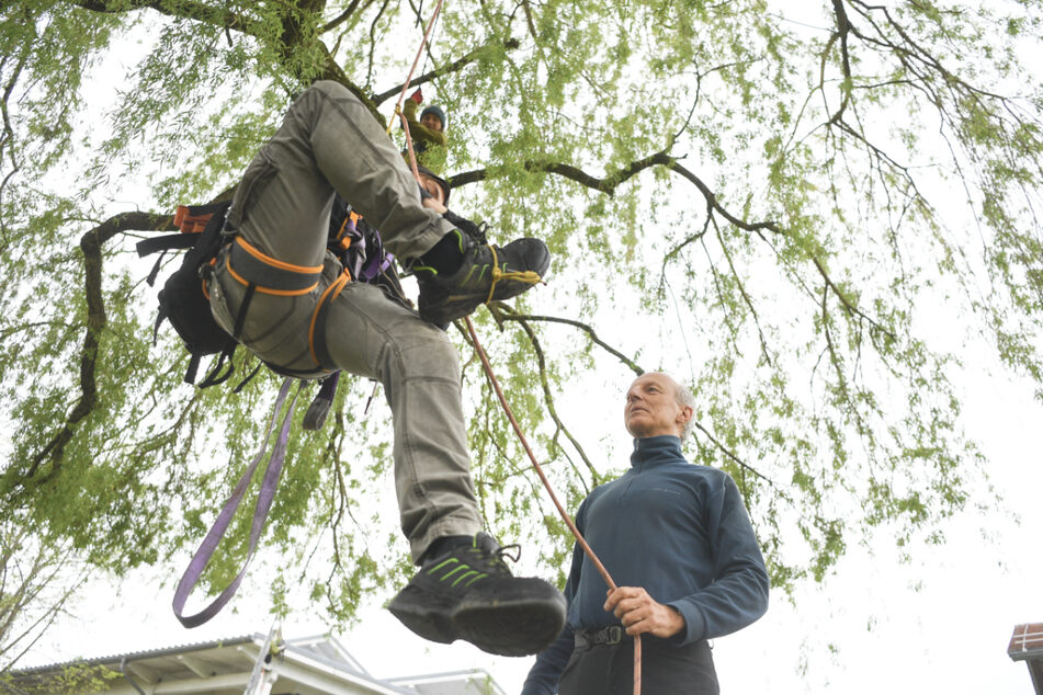 Wolfgang Ertel (r.), Leiter des Instituts für Künstliche Intelligenz an der Hochschule Ravensburg-Weingarten, hilft einem Klimaaktivisten, auf den Baum zu klettern.