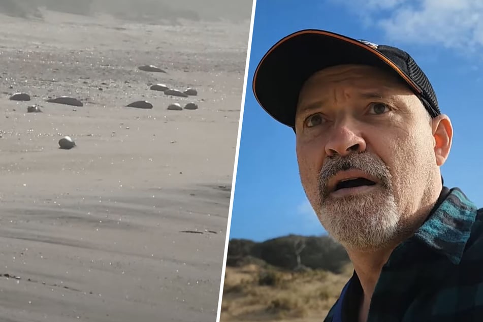 Fischer ist fassungslos, als er den Strand sieht: "Was zum Teufel ist hier los?"