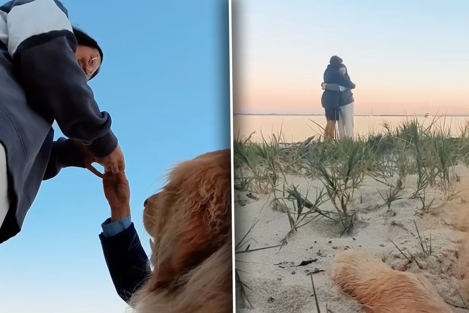 Clever: Cuando el anillo se coloca en el dedo, Murphy está cerca. Romántico: mientras sus dueños quieren disfrutar del momento para ellos mismos, el Golden Retriever mantiene nuevamente la distancia, capturando al mismo tiempo el idilio de postal.