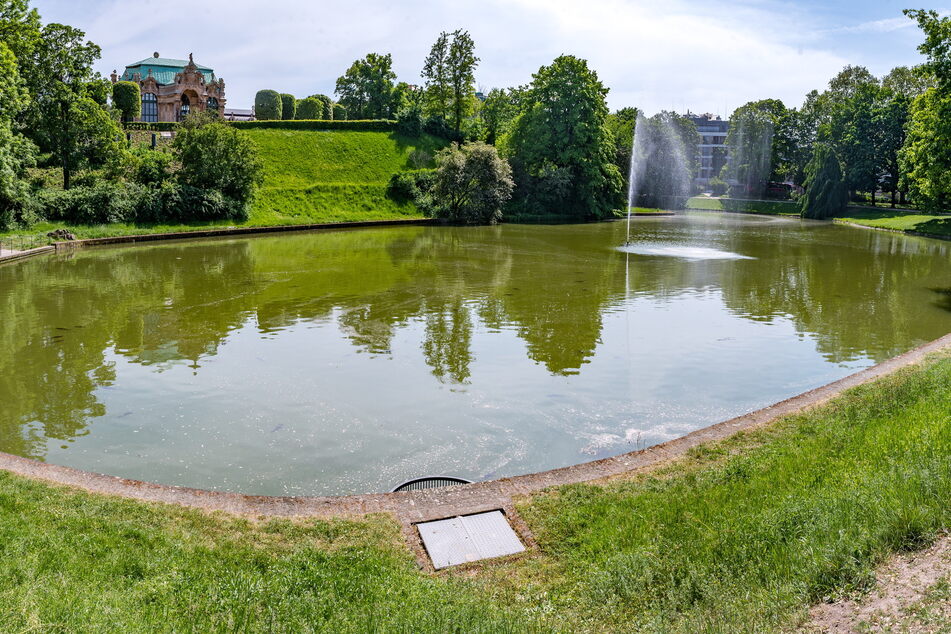 Viele Dresdner würde es freuen, auf dem Zwingerteich in malerischer Umgebung wieder gondeln zu können.