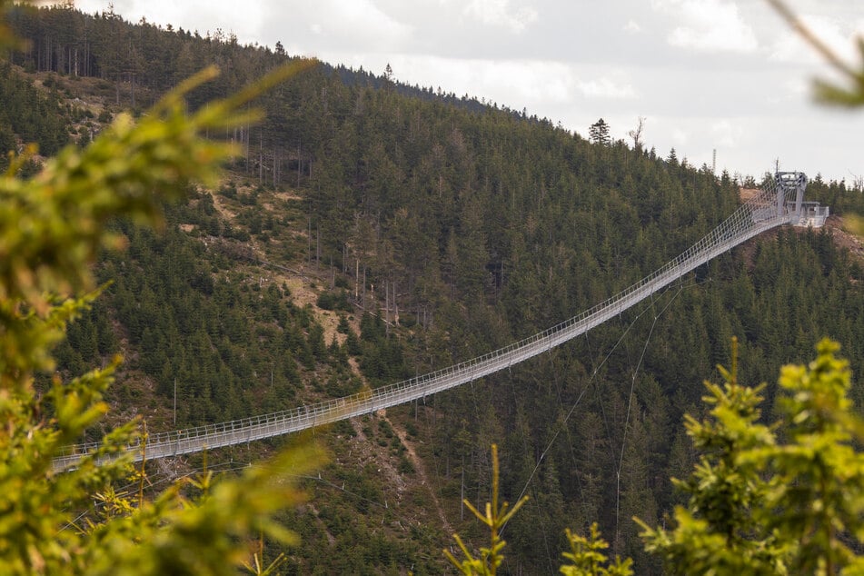 Hallo Höhenangst: Diese Brücke ist nur was für Schwindelfreie!
