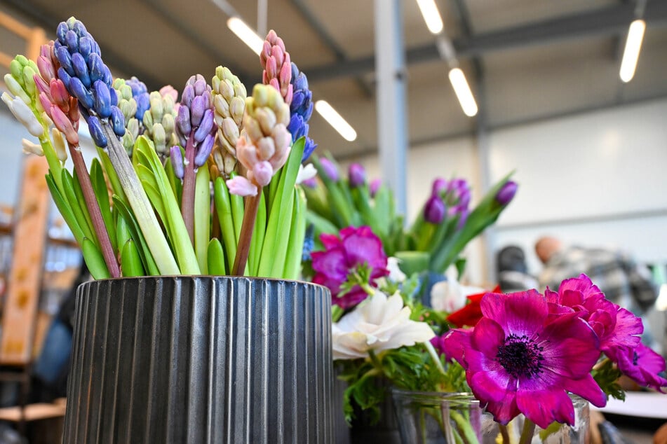Hyazinthen und Anemonen inspirieren mit ihren Farben und Düften die Meisterschüler in der Werkstatt.
