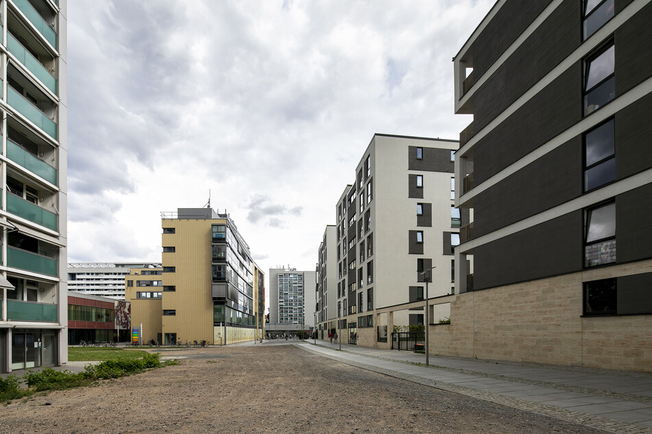 Diese Straße befindet sich laut Stadtverwaltung nur im "Dornröschenschlaf".