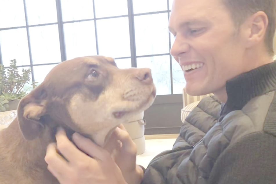 Tom Brady (48) und seine geliebte Hündin Lua. Seit 2023 ist der Vierbeiner tot, wurde jetzt aber durch einen Klon "ersetzt".
