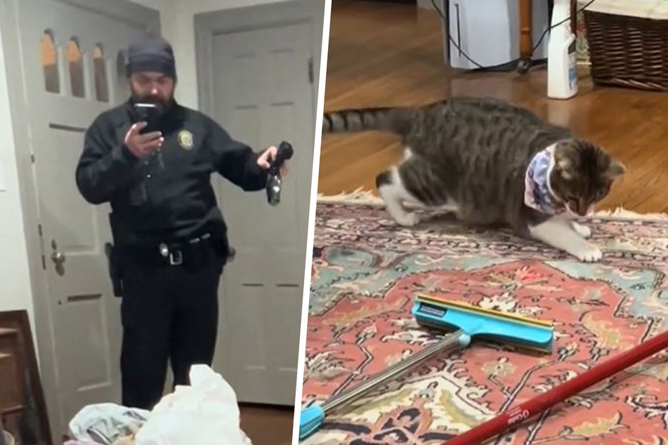 Cop casually entertaining cat on a house call has millions cackling